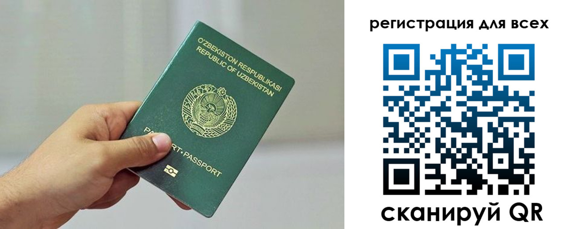прописка ребенка в Ельне